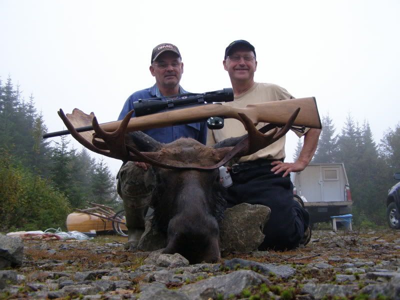 Whats The Best Caliber Rifle For Big Game? Moose And Up Rifle/Guns Nova Scotia Hunting